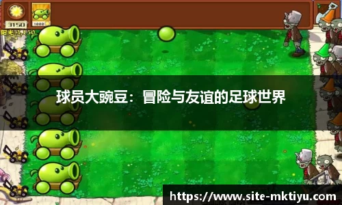 mk体育官方网站